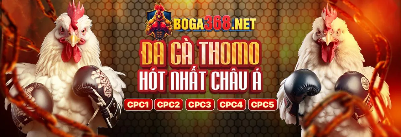 Đấu trường đá gà kịch tính tại luck8222